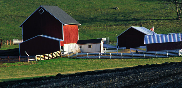 Fighting The Spray Flu