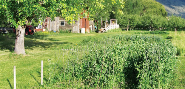 Canada’s Organic Capital