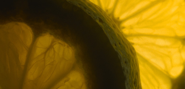 Lovely Lemon Verbena