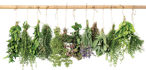 10 Surprising Uses for Herbs