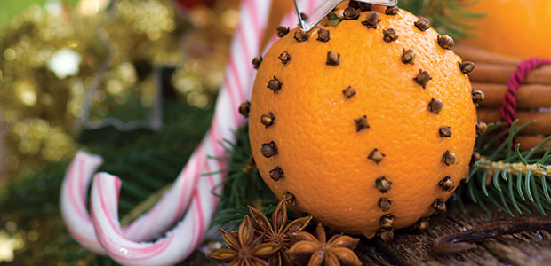 ‘Tis the Seasoning