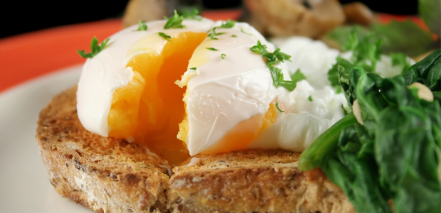 Egg-celerate Your Day!