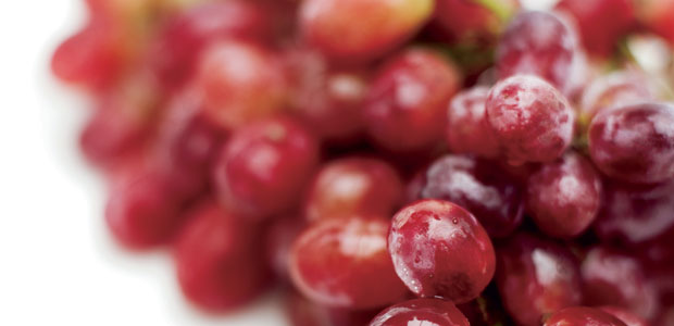 Eradicate Free Radicals