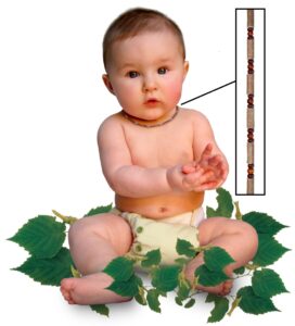 Pure Hazelwood Teething Necklace