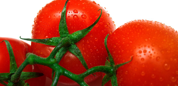 Non-GMO Project Certifies Tomato Grower in BC