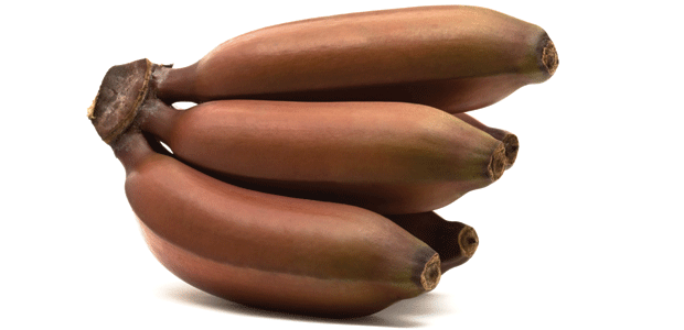 Yes, We Have Bananas