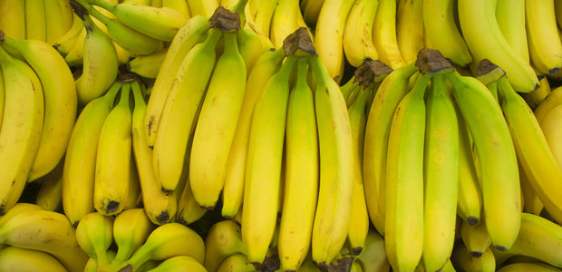 Keep Your Bananas Fresh for Banana Lovers Day
