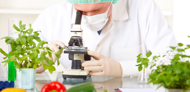 October is Non-GMO Month