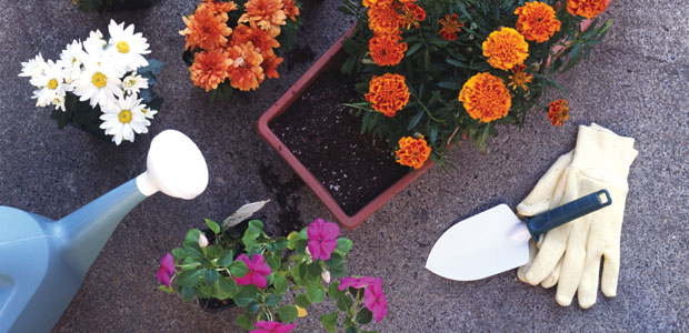 September Spectacular