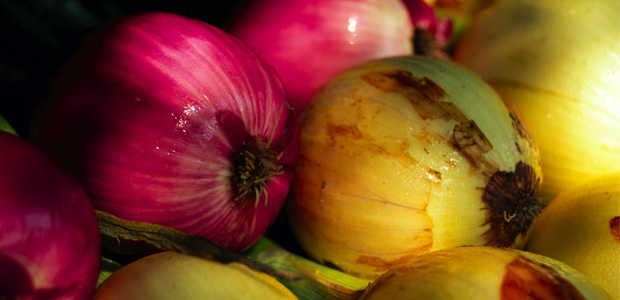 Bill C-80: The Failed Food Safety and Inspection Act