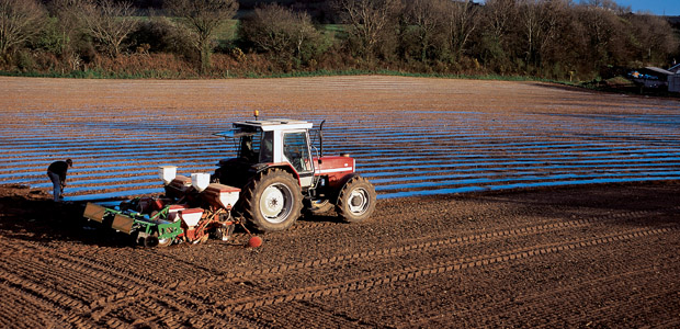 Dumping Engineered Seeds