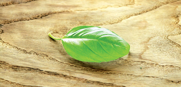 Integrative Medicine