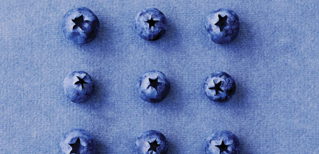 Vegetarian Awakening Conference