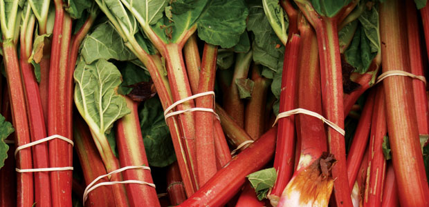 Harbingers of Spring