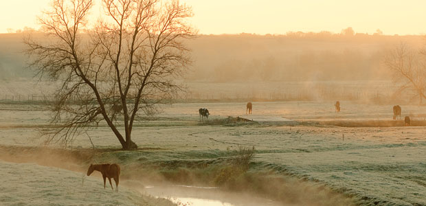 Another source of CO2 emissions: rivers and streams