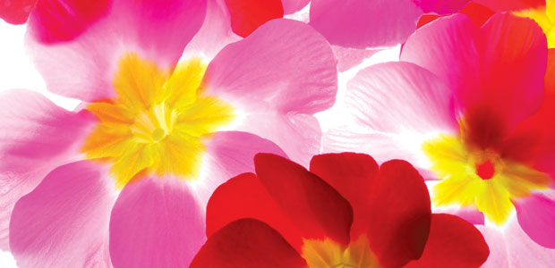 The Lessons of Spring