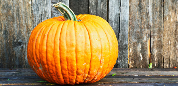 Forget Pie! Here are 5 Unique Ways to Enjoy Pumpkin