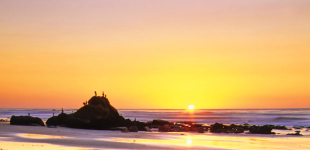 Attract a Positive State of Mind