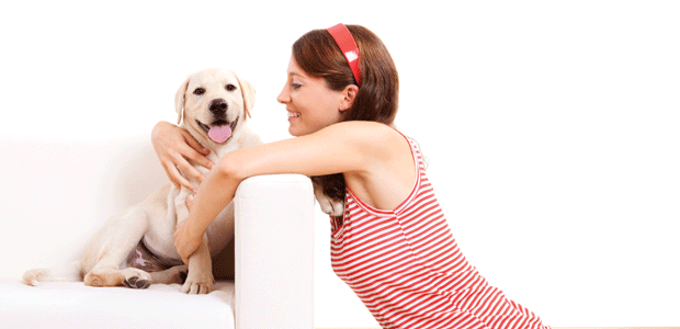 Treat Your Pet Right