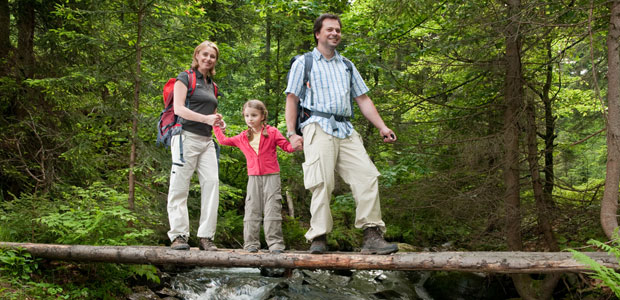 Spreading Lyme Disease-Carrying Ticks Linked to Global Warming