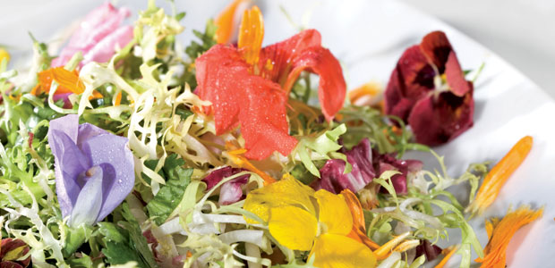 Get Creative with Calendula