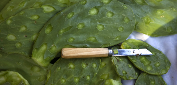 Meatless Monday: Sweet and Sour Tofu with Cactus