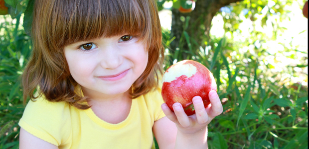 An apple a day just may keep the doctor away
