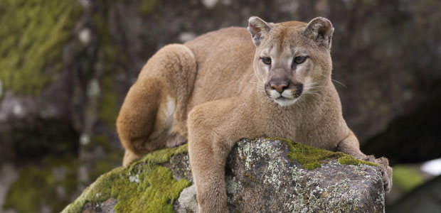 It’s National Wildlife Week