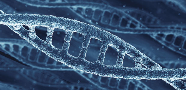 Telomere Length and Ageing