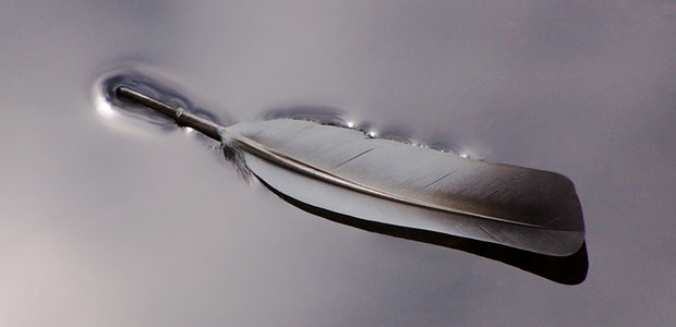 What Do You Think About the Enbridge Northern Gateway Project?