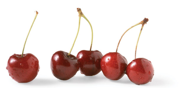 The Colour of Cherries