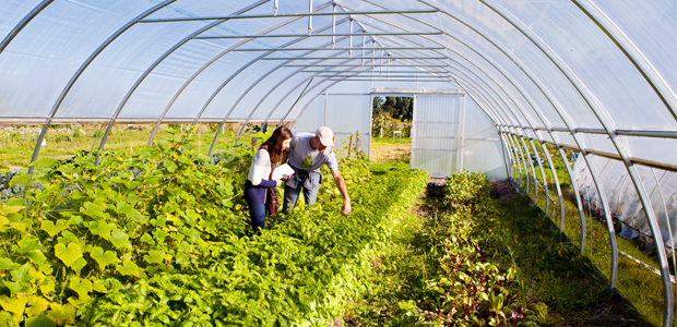 Help Build the Heart of the Sharing Farm