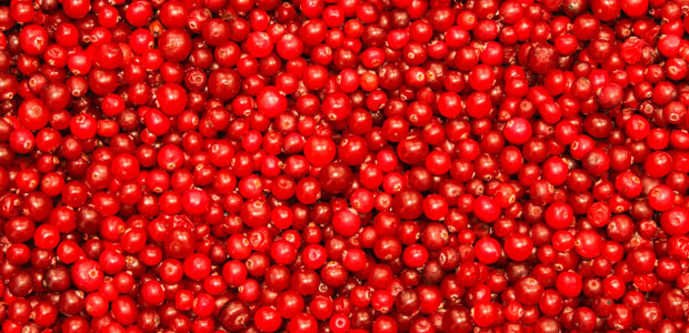 Celebrate Eat a Cranberry Day!