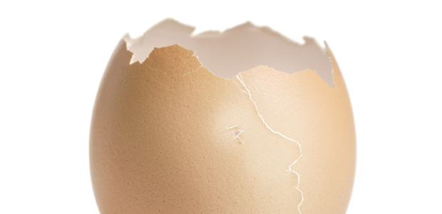 Combatting Osteoarthritis