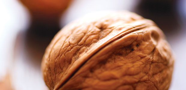 Superfood in a Nutshell