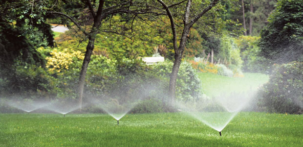 The Grass is Greener