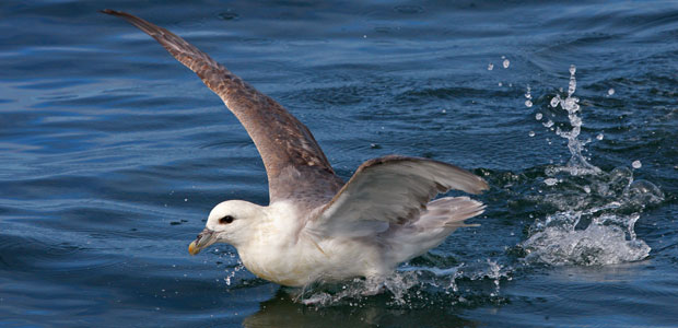 Plastic Pollution Continues to Rise