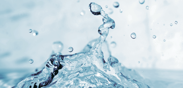 The Effects of Municipal Water Flouridation