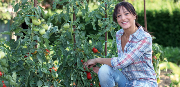 Community Farms and You