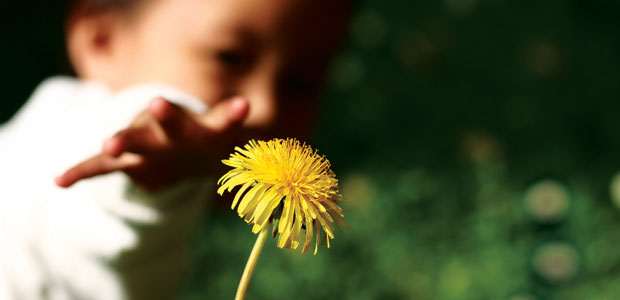 More Nutritious than Spinach!