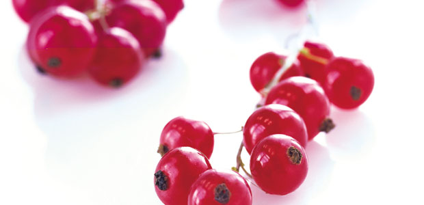 Lowering Cholesterol with Highly Viscous Dietary Fibre