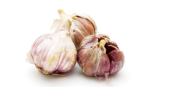 Great Garlic!