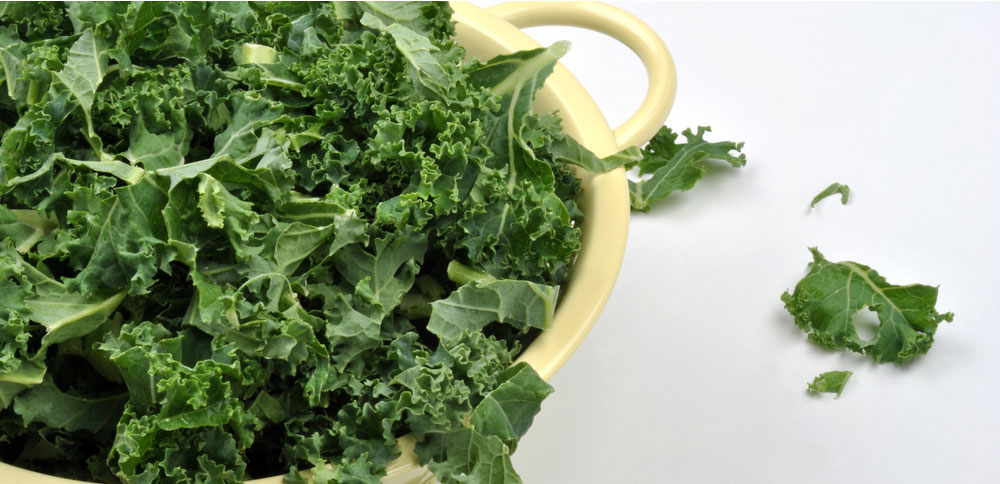 Kale: Not Just Rabbit Food
