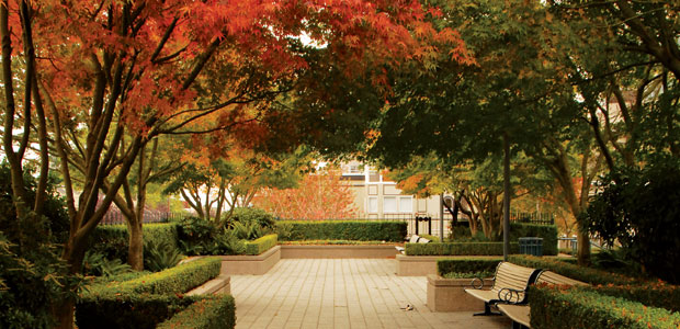 At the Heart of Healing