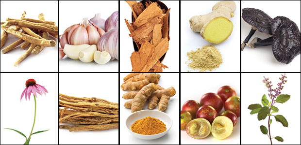 10 Immune-Boosting Superfoods