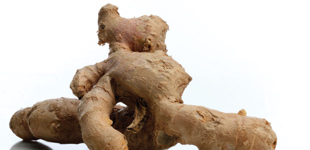 Treating Tummy Troubles