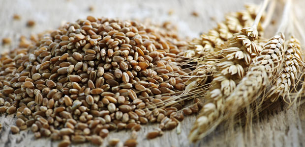 Meatless Monday: Great Grains