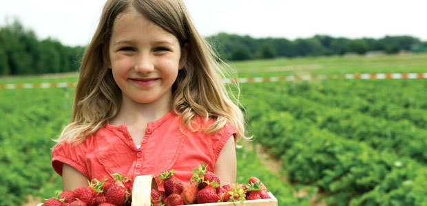 Try These Tasty Canadian-Grown Fruits This Summer