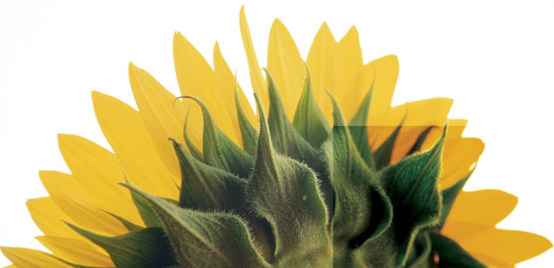 Education Helps Healing