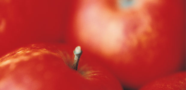 A Pioneer Apple Farmer